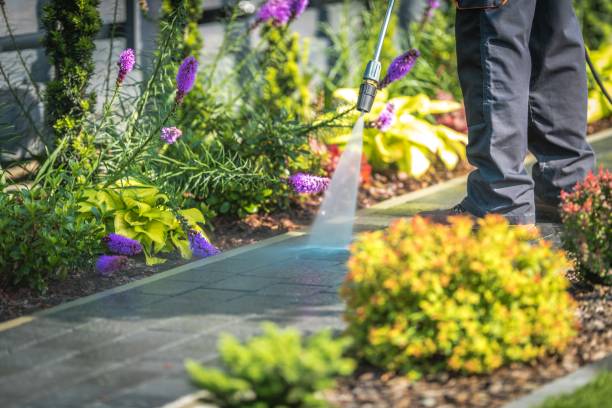 Best Restaurant Pressure Washing  in Wortham, TX